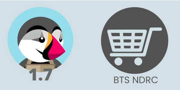 Formation prestashop BTS NDRC